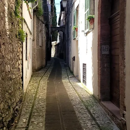 Visiale *